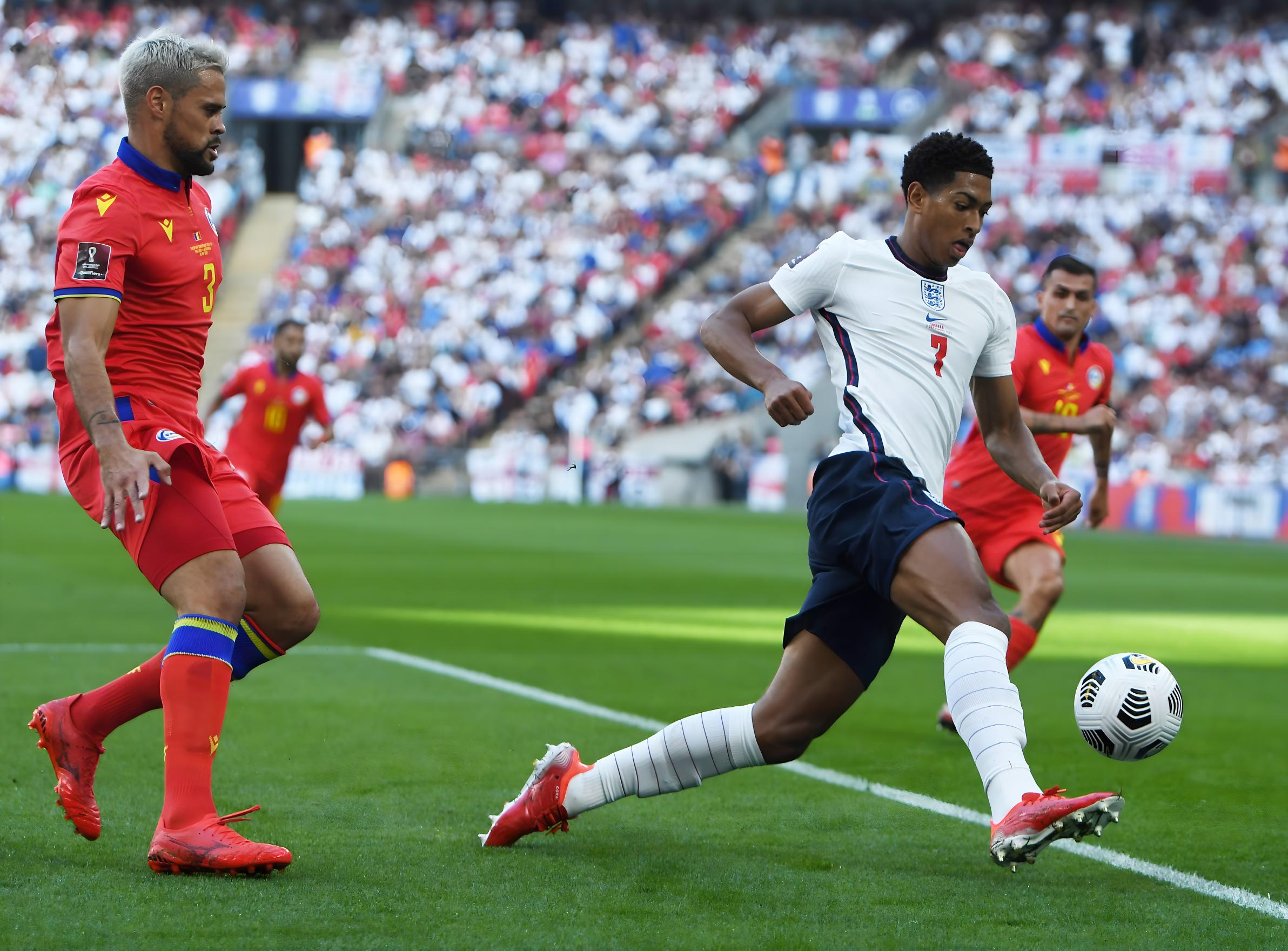 他的战术灵 他的战术灵