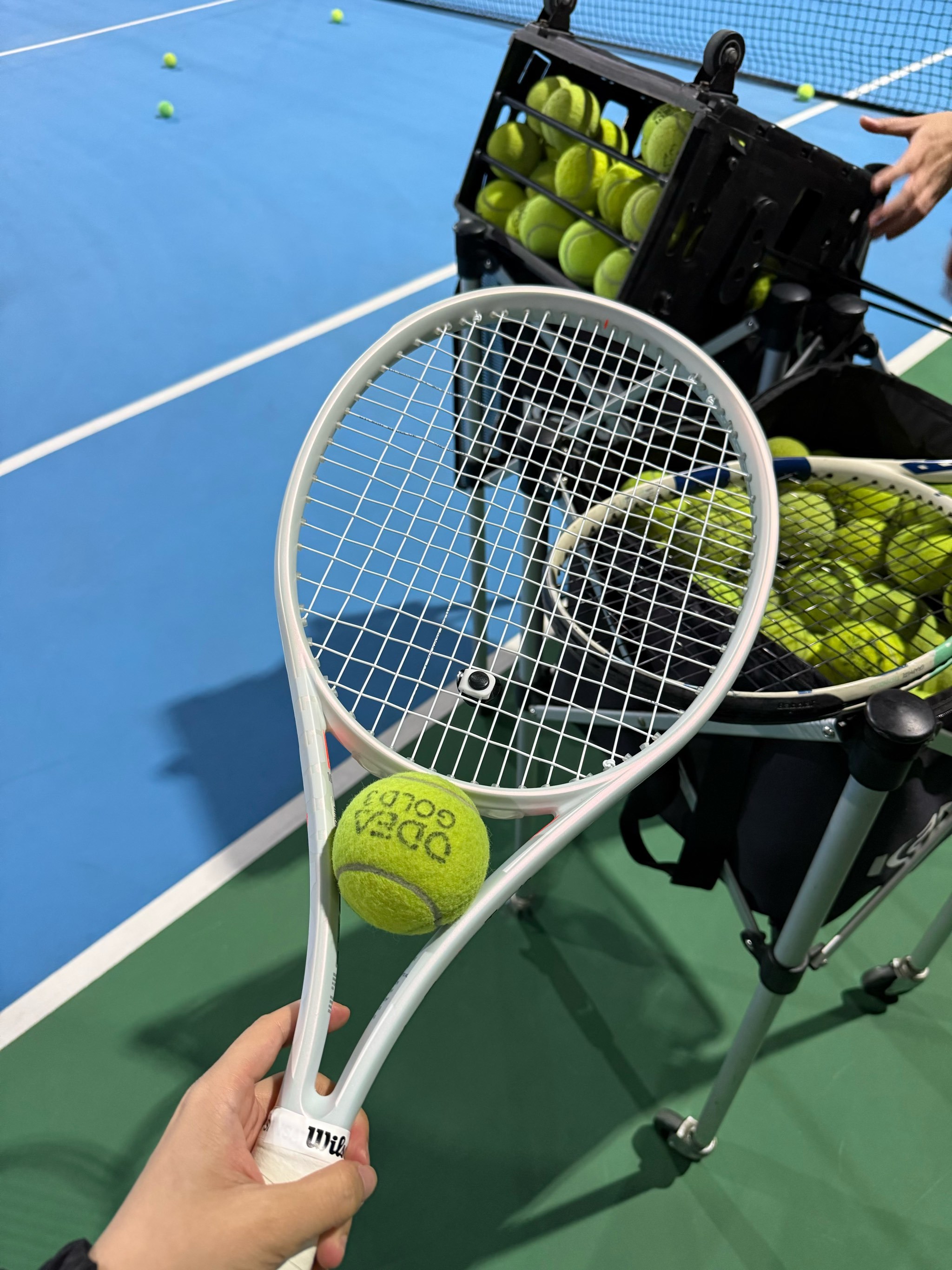 賽的重要原 賽的重要原